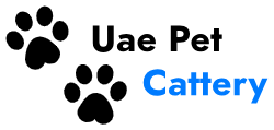 UAE Pet Cattery